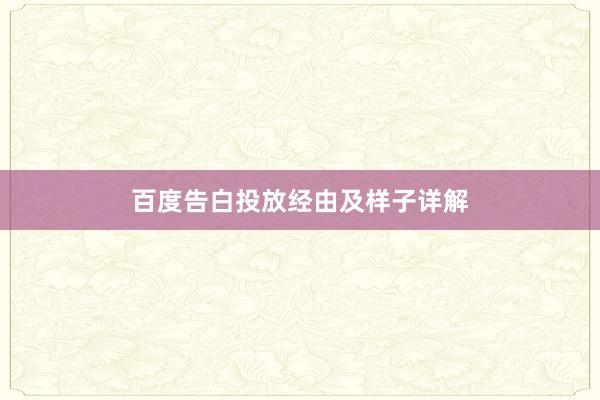 百度告白投放经由及样子详解