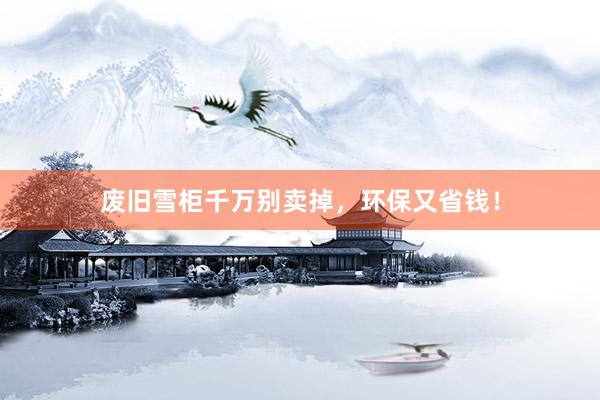 废旧雪柜千万别卖掉，环保又省钱！