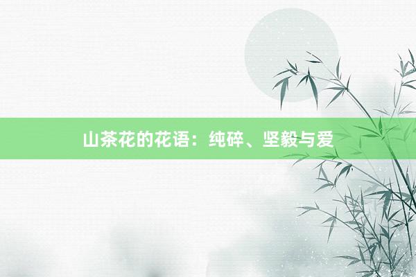 山茶花的花语：纯碎、坚毅与爱
