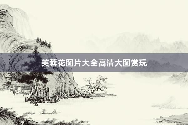 芙蓉花图片大全高清大图赏玩